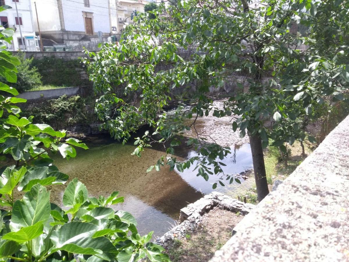 Вілла Casa D.Dinis Vide Екстер'єр фото